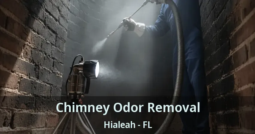 Chimney Odor Removal Hialeah - FL