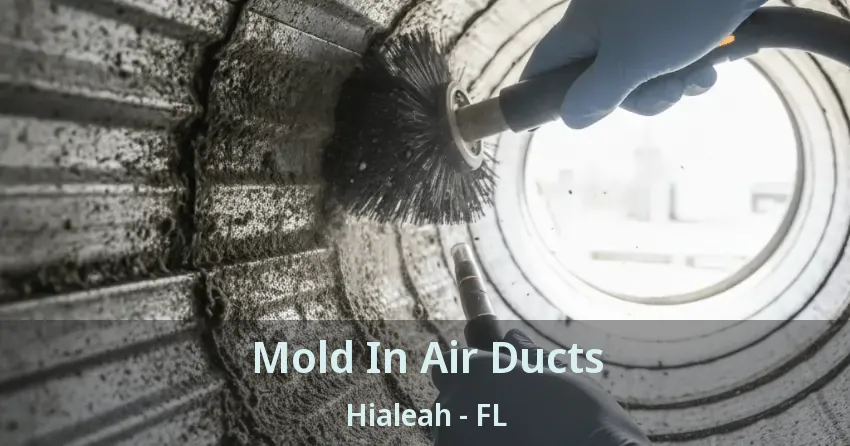 Mold In Air Ducts Hialeah - FL