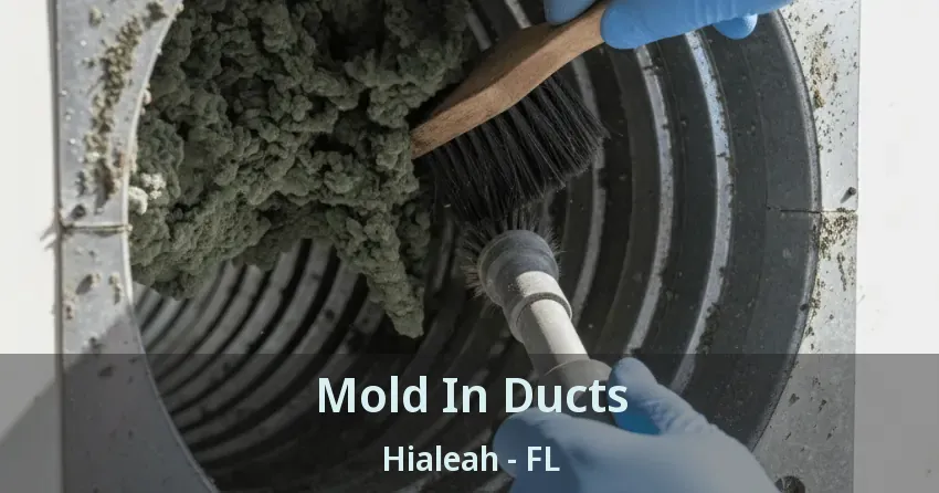 Mold In Ducts Hialeah - FL